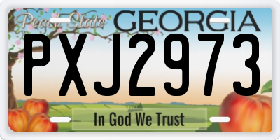 GA license plate PXJ2973