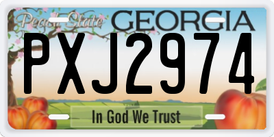 GA license plate PXJ2974