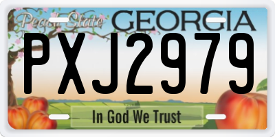 GA license plate PXJ2979