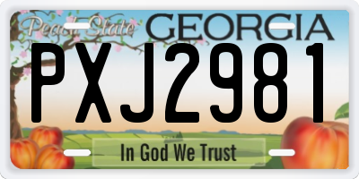 GA license plate PXJ2981
