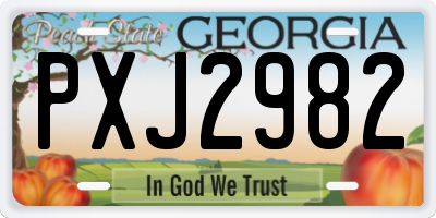 GA license plate PXJ2982