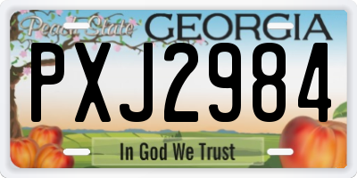 GA license plate PXJ2984