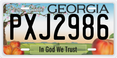 GA license plate PXJ2986