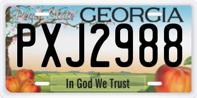 GA license plate PXJ2988