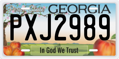 GA license plate PXJ2989