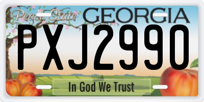 GA license plate PXJ2990