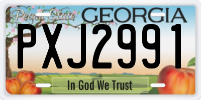 GA license plate PXJ2991