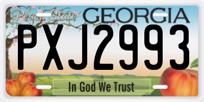 GA license plate PXJ2993
