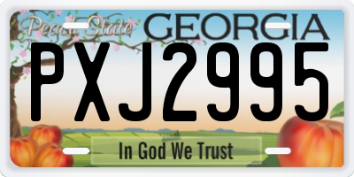 GA license plate PXJ2995