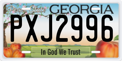 GA license plate PXJ2996