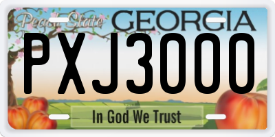 GA license plate PXJ3000
