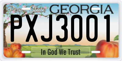GA license plate PXJ3001