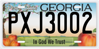 GA license plate PXJ3002