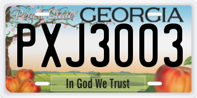 GA license plate PXJ3003