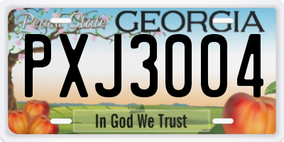 GA license plate PXJ3004