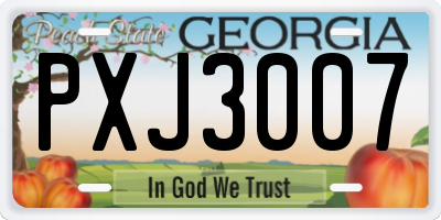 GA license plate PXJ3007