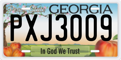 GA license plate PXJ3009