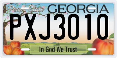 GA license plate PXJ3010