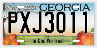 GA license plate PXJ3011