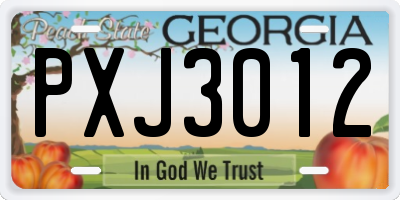GA license plate PXJ3012
