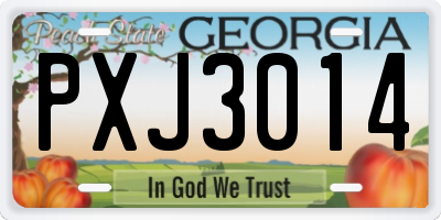 GA license plate PXJ3014