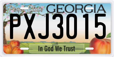 GA license plate PXJ3015