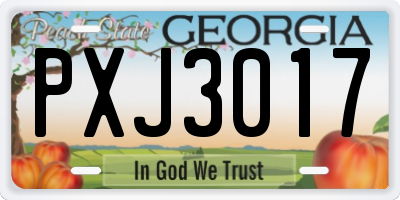 GA license plate PXJ3017