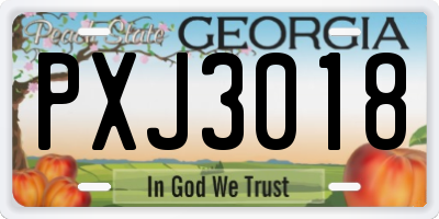 GA license plate PXJ3018