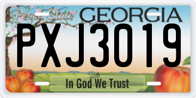 GA license plate PXJ3019