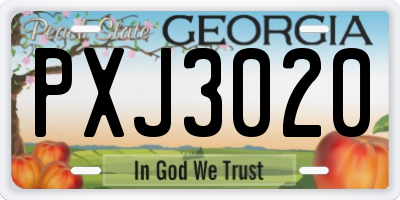 GA license plate PXJ3020