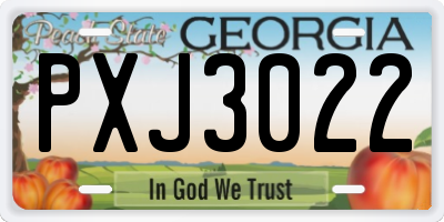 GA license plate PXJ3022