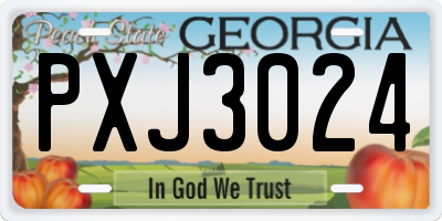 GA license plate PXJ3024