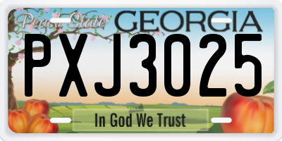 GA license plate PXJ3025
