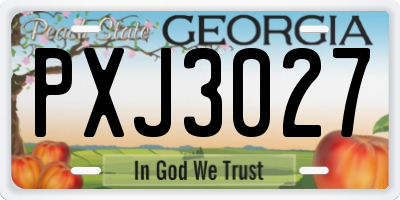 GA license plate PXJ3027