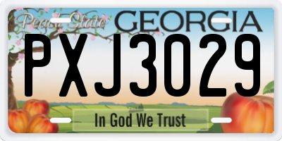 GA license plate PXJ3029