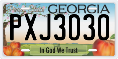 GA license plate PXJ3030
