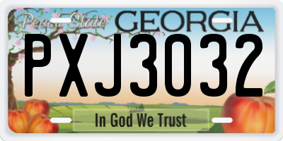 GA license plate PXJ3032