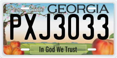 GA license plate PXJ3033