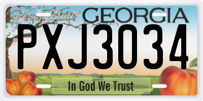 GA license plate PXJ3034