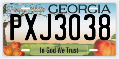 GA license plate PXJ3038