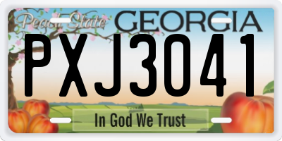 GA license plate PXJ3041