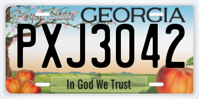 GA license plate PXJ3042