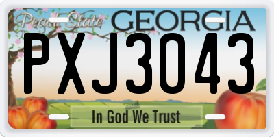GA license plate PXJ3043