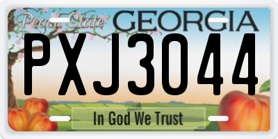GA license plate PXJ3044