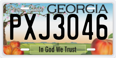 GA license plate PXJ3046
