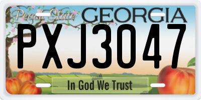 GA license plate PXJ3047