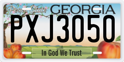 GA license plate PXJ3050