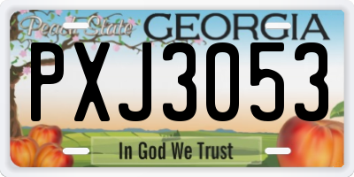 GA license plate PXJ3053
