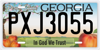 GA license plate PXJ3055