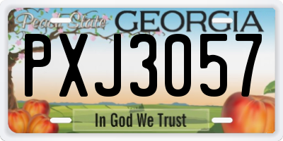 GA license plate PXJ3057